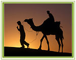 Camel Safaris India 