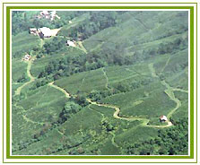 Darjeeling Holiday Vacations