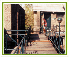Taj Safari Lodge Bandavgarh