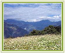 Gangtok Travel Vacations