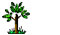 Eco Tours In India