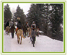 Shimla Holiday Vacations