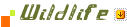 TSI India Holidays