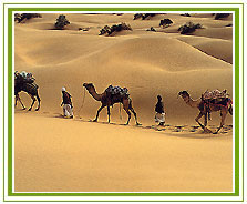 Jaisalmer Desert, Jaisalmer Travel