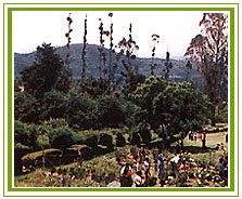 Kodaikanal Tour Packages