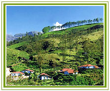 Munnar Holiday Vacations