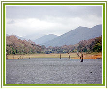 Lake Periyar, Periyar Travel Vacations