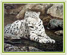 Snow Leopard, Nanda Devi National Park Tour 